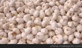 供应6.5cm白蒜
