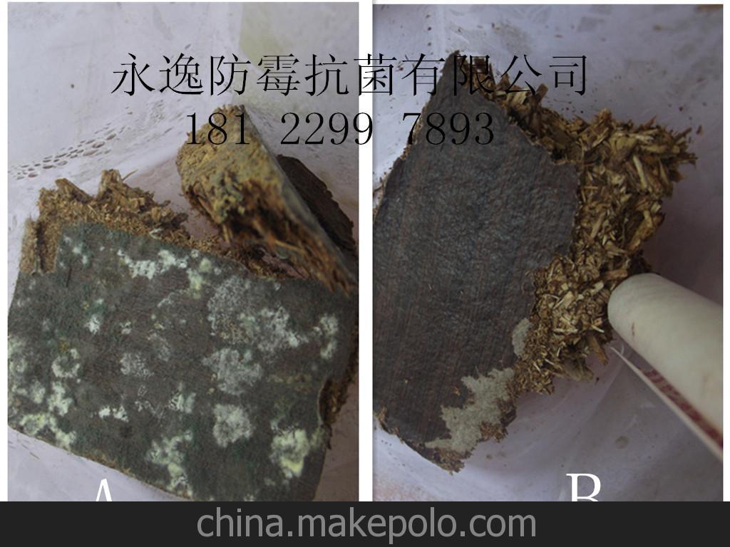ECCO防霉貼片臺灣進口原裝環保防霉貼片防霉片廠家 G100