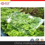 PC耐力板盾牌 耐冲击高刚度PC平板