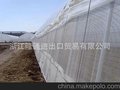 专业供应定制各种规格 大棚防虫网 蔬菜种植防虫网