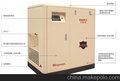 英格索兰V系列220KW直联螺杆机V220-8