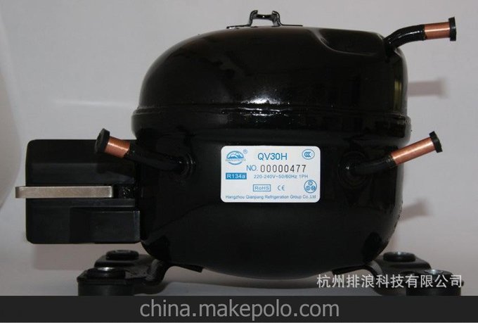 QD30H/QV30H全新134A錢(qián)江萬(wàn)勝登富樂(lè )壓縮機，冰箱\飲水機用壓縮機圖片