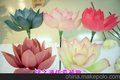 Pu仿真荷花 高档仿真花 LED仿真花 仿真荷花热销 仿真花 仿真植物