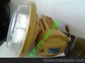 40瓦无极灯防爆灯,50W防爆低频无极灯,内蒙古防尘防腐照明灯具