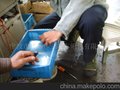 供应出水扇型的喷水嘴