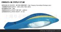 供应高频无极灯路灯 85-165W 220V