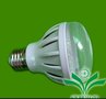 3.6wLED灯泡 LED球泡灯 LED照明灯具 LED灯 LED生产厂家