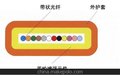 供应汉信室内光纤带光缆12芯