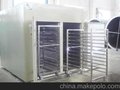 CT-C热风循环烘箱