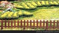 供应木塑产品