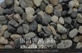 青岛建筑装饰用鹅卵石 规格齐全价格低