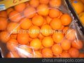 果实类保鲜