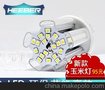 徽博照明LED玉米灯