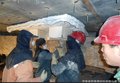 建窑专用陶瓷纤维建窑专用保温棉1260陶瓷纤维板