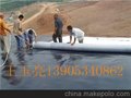 土工膜-优质防渗膜，诚信销售价更低生产厂家