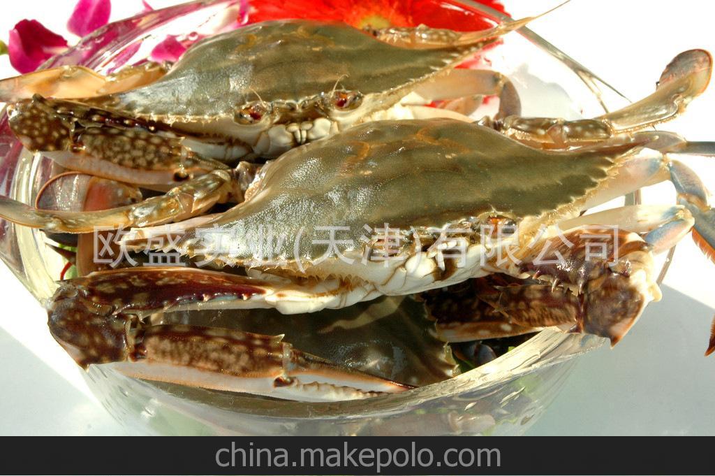進口大號海蟹，梭子蟹，250/300g，肉肥，黃滿