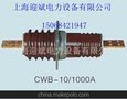 CWB-10/1500A高压穿墙套管
