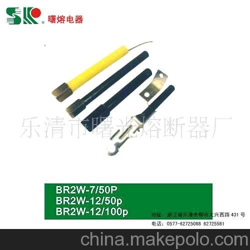 電力電容保護用高壓熔斷器 BR2W(圖)圖片