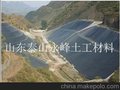 山东泰山永峰土工材料供应出口美标HDPE土工膜1.5mm厂家价格